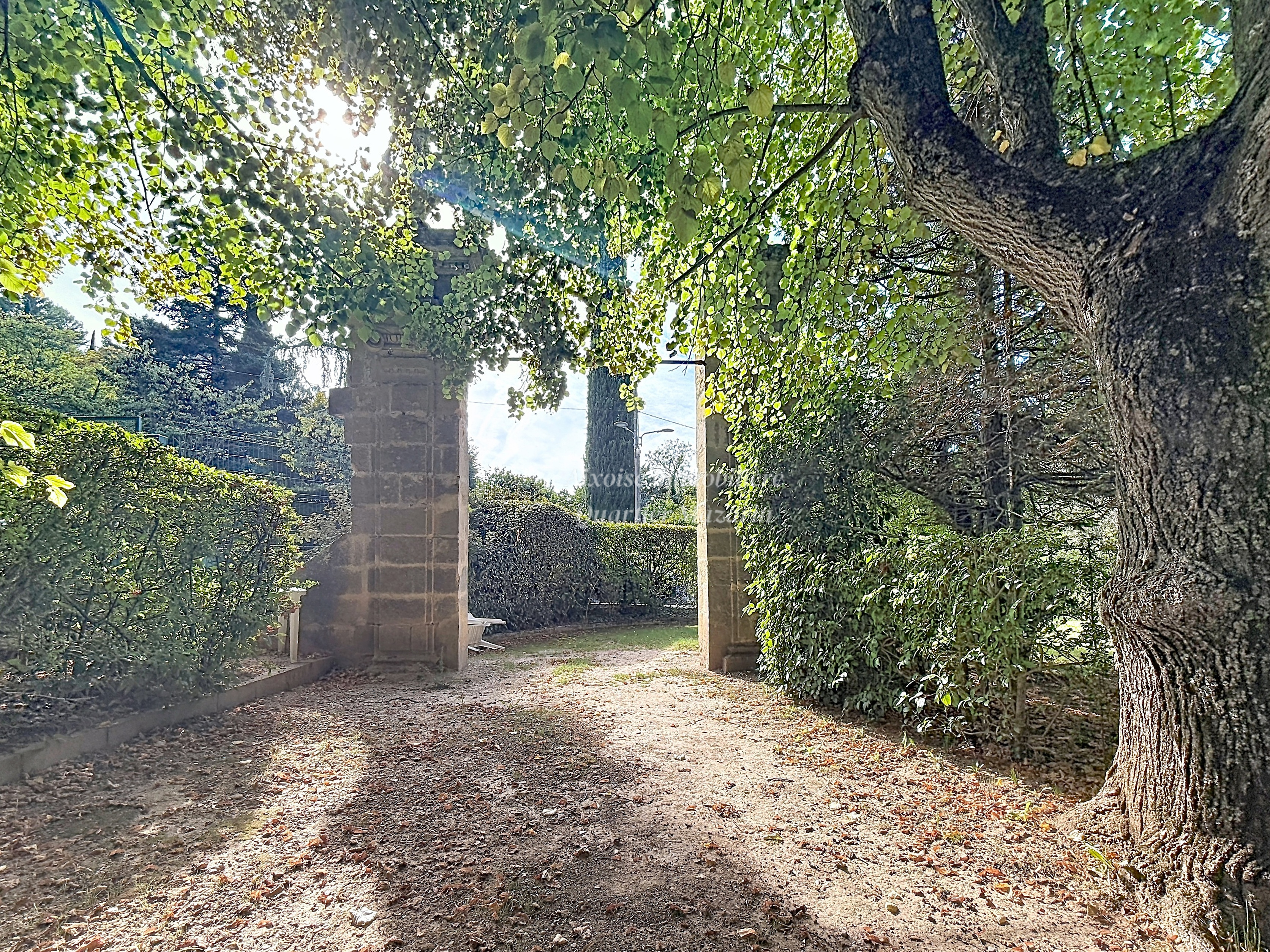 T2 à raffraichir à Bibémus — miniature 13